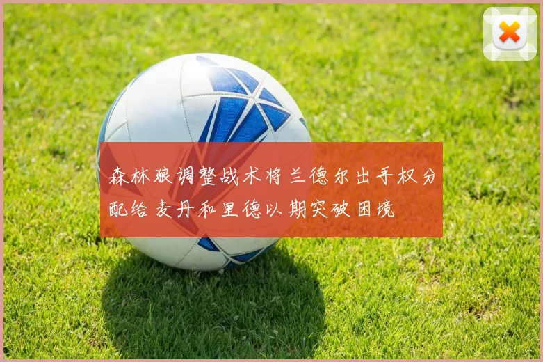 森林狼调整战术将兰德尔出手权分配给麦丹和里德以期突破困境